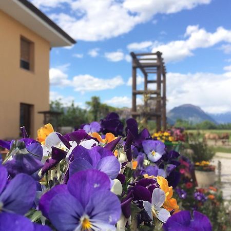 Agriturismo San Floreano Buia エクステリア 写真