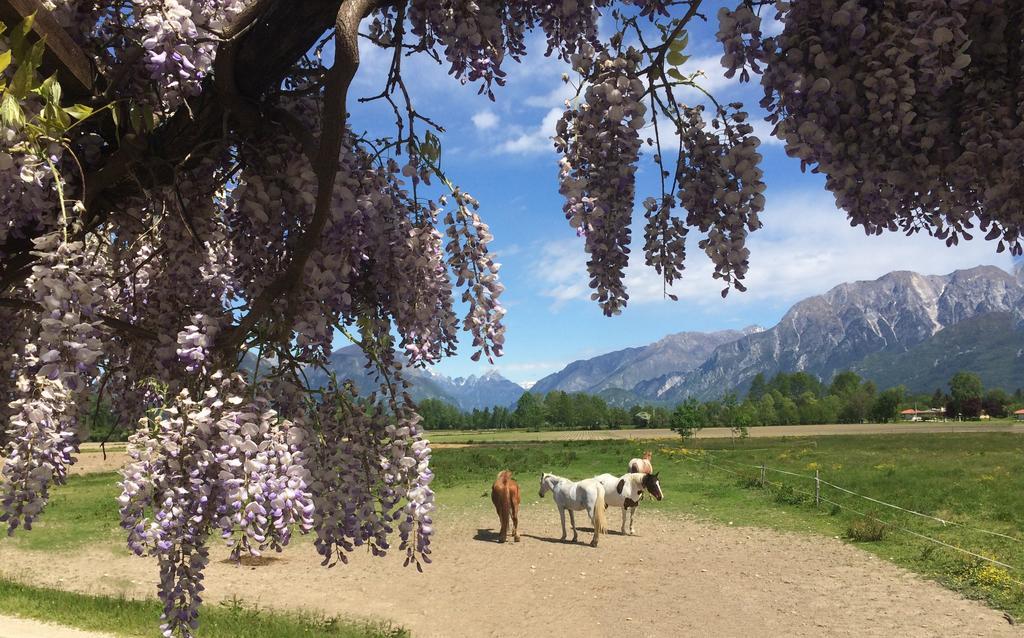 Agriturismo San Floreano Buia エクステリア 写真