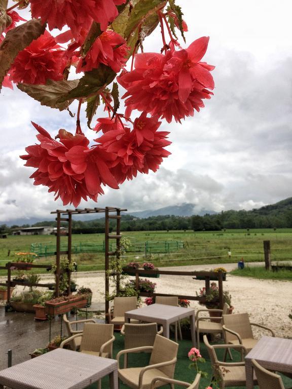 Agriturismo San Floreano Buia エクステリア 写真